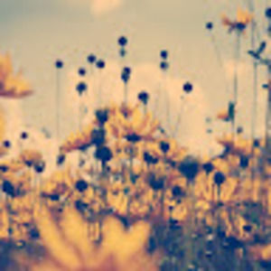 Meet your Posher, Cady